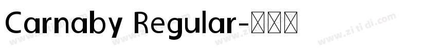 Carnaby Regular字体转换